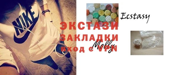 ECSTASY Бородино